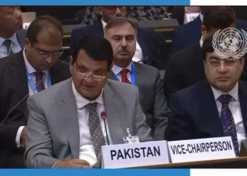 Pakistan urges international community to help with Afghan repatriation efforts