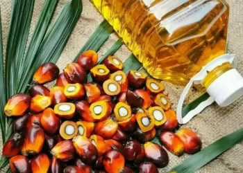 Palm rangebound ahead of key data, but set for weekly gain