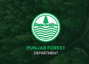 Punjab Forest Dept moves to boost silk output, cut Rs112bn imports