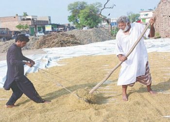 Punjab to dole out ‘ATM cards’ to aid flood survivors