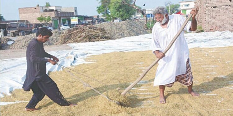 Punjab to dole out ‘ATM cards’ to aid flood survivors