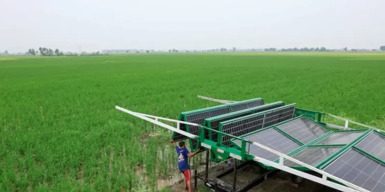 Solar-powered farming is digging Pakistan into a water catastrophe