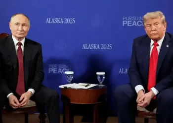 Trump to speak with Putin ahead of Zelensky visit