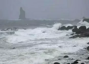 Typhoon Bualoi death toll in Vietnam tops 50