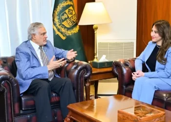 US companies ‘strongly desire’ to invest in Pakistan’s energy, critical minerals, IT sectors