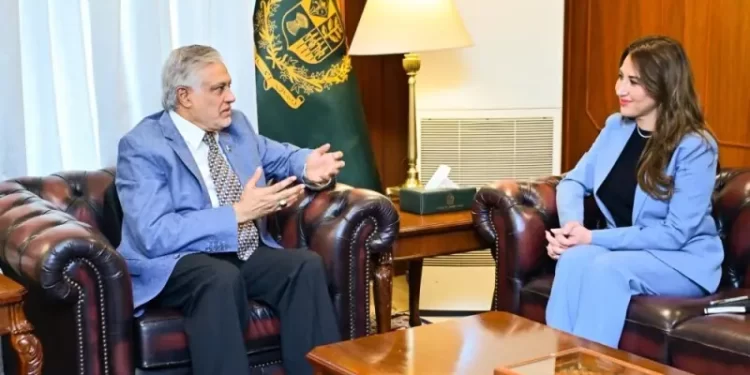 US companies ‘strongly desire’ to invest in Pakistan’s energy, critical minerals, IT sectors