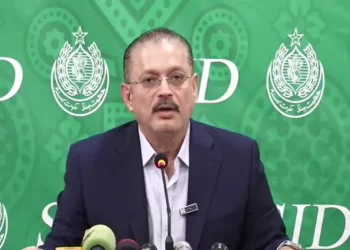 ‘Taking our cover to settle own issues with PM’: Sharjeel Memon accuses Punjab govt of conspiring against Centre