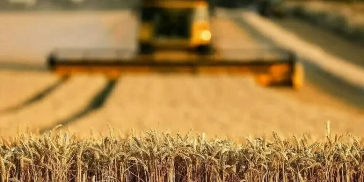 Agri-food exporters urge govt to scrap taxes, slash restrictions