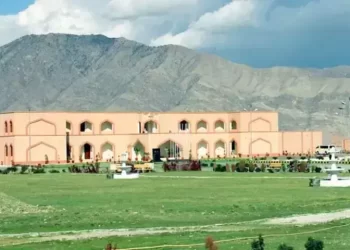 All terrorists in Wana attack Afghan nationals; orchestrated by TTP from Afghanistan: information ministry