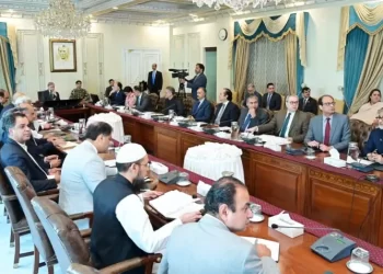 BISP digital wallets to be fully operational by November end