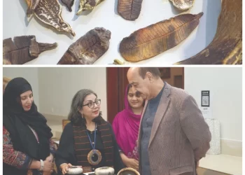 artist nabahat lotia takes inspiration from nature for her exhibition aatish at the pnca in islamabad as she translates patterns and themes found in the natural environment into clay and ceramic pieces photos express