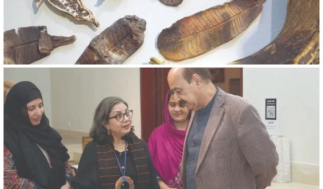 artist nabahat lotia takes inspiration from nature for her exhibition aatish at the pnca in islamabad as she translates patterns and themes found in the natural environment into clay and ceramic pieces photos express