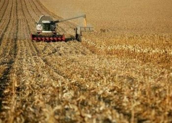 China to set up agricultural machinery plants in Punjab