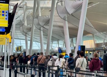 Good news for travelers: Flight cancellations drop as the government reopens