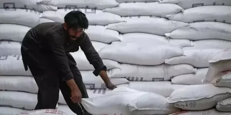 India needs to double sugar exports as surplus rises on lower ethanol output