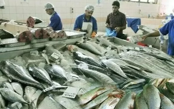 Indian seafood exporters rally after report of China suspending Japanese imports