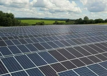 India’s solar panel exports slump in September as US tariffs bite