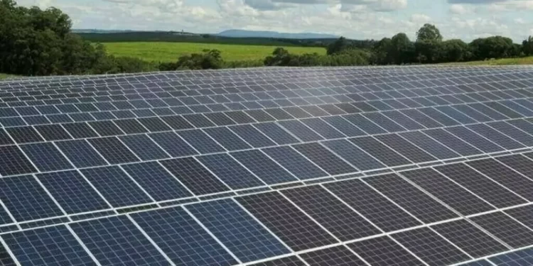 India’s solar panel exports slump in September as US tariffs bite