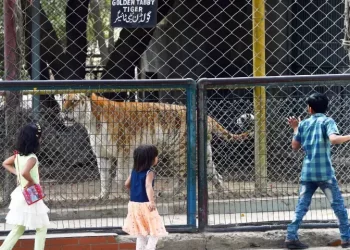 KMC invokes CB jurisdiction against regular bench’s decision to review concept of zoos