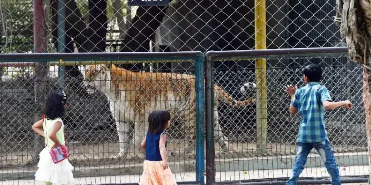 KMC invokes CB jurisdiction against regular bench’s decision to review concept of zoos