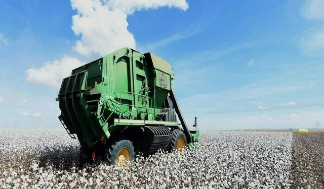 Lacklustre business on cotton market