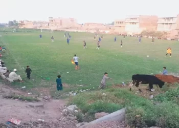 Lahore civil society to protest on Dec 2: Nasser Bagh parking plaza project comes under sharp criticism