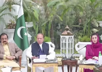 Nawaz calls for accountability for ‘those who brought Imran’ to power, terms them bigger ‘criminals’