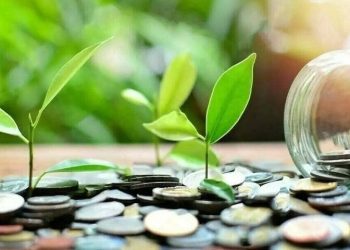 Need for aligning sustainable investments stressed at sustainability plenary