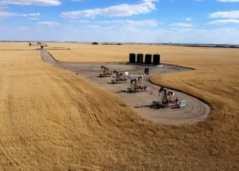 Oil gains almost 2% as Russian port suspends oil exports after Ukrainian attack