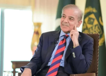 PM Shehbaz thanks coalition partners, President Zardari for ‘full support’ on 27th Amendment