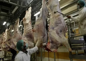 Pakistan finalises $200mn meat export plan to Malaysia