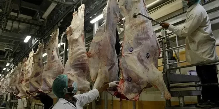 Pakistan finalises $200mn meat export plan to Malaysia