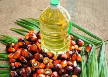 Palm oil rises prior to trading halt on Dalian strength