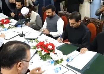 Portfolios assigned to KP’s all-male, 13-member cabinet