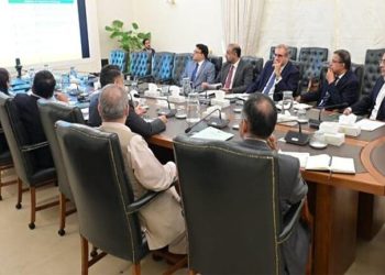 Public Private Partnership Authority: Cheema chairs meeting to discuss framework, strategies