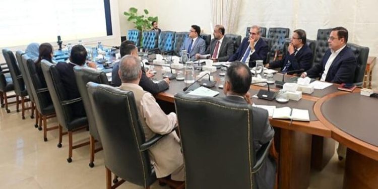 Public Private Partnership Authority: Cheema chairs meeting to discuss framework, strategies