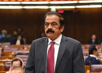 Rana Sanaullah dismisses fearmongering over 27th Amendment