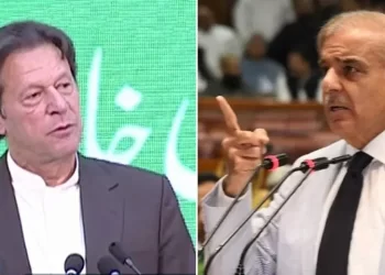Sanaullah rubbishes alleged connection between Imran Khan and PM immunity clause