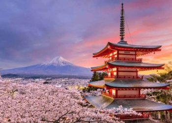 Study Abroad! Japan Announces Fully-Funded 2026 Scholarship for Pakistani Students