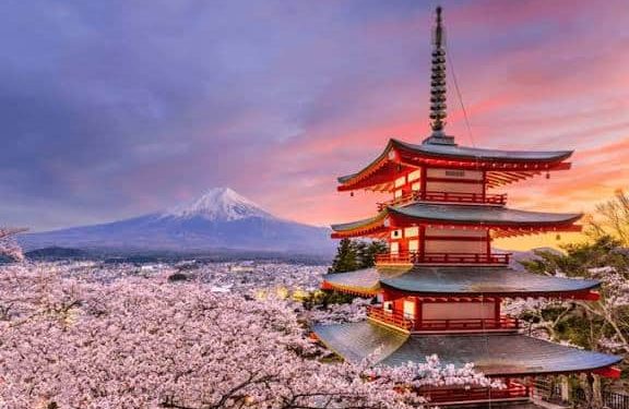 Study Abroad! Japan Announces Fully-Funded 2026 Scholarship for Pakistani Students
