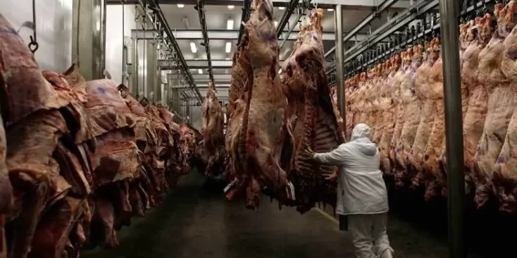 Study completes for setting up joint slaughterhouse in twin cities