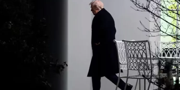 Trump buys at least $82 million in bonds since late August, disclosures show