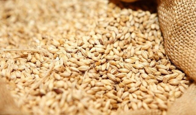 Use of certified wheat seed up by more than 2pc