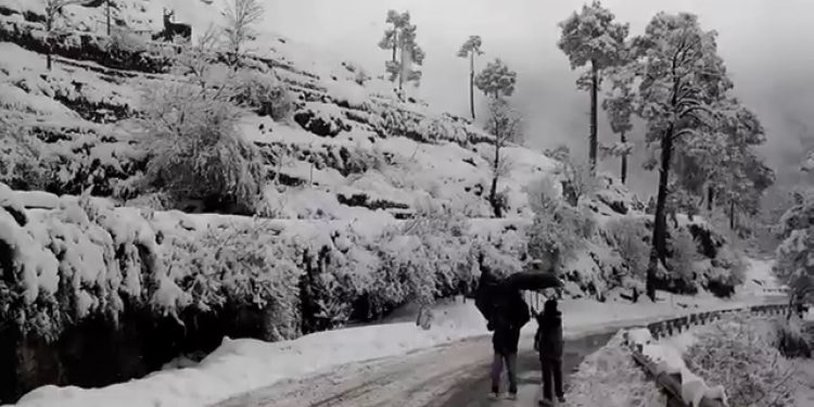 Winter in Murree Gets Safer! Extra Rescue Teams & Snow-Clearing Vehicles Announced for Tourist Safety