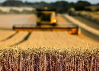 Agricultural development: China, Punjab sign MoUs