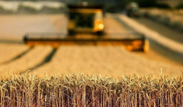 Agricultural development: China, Punjab sign MoUs