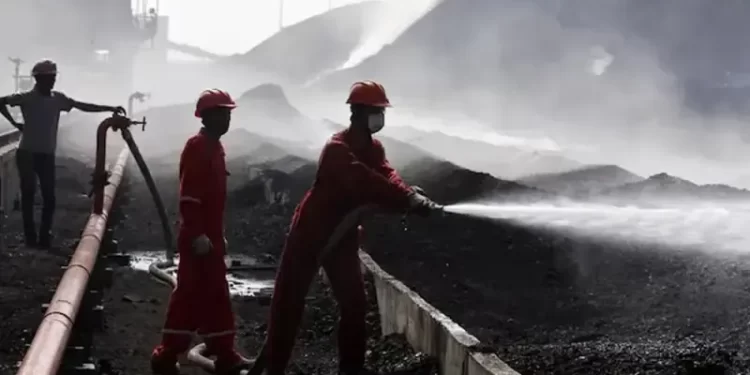 China’s November coal imports down 20% year-on-year