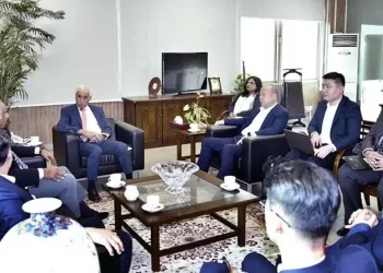 Chinese group eyes setting up solar panel plant in Pakistan