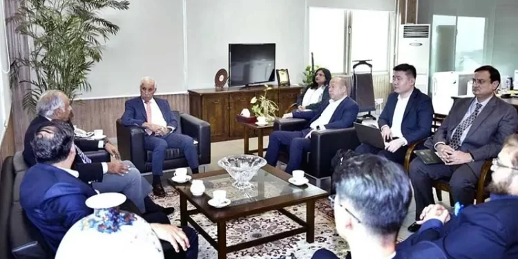 Chinese group eyes setting up solar panel plant in Pakistan