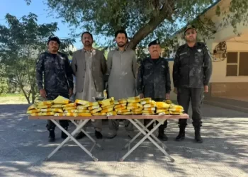 Customs seizes narcotics worth Rs264m in Turbat